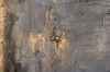 Textured Gold & Earth Abstract Painting – Silent Guardians