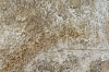 Original Gold Textured Abstract Painting – Eternal Presence