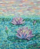 Evening Lily Pond
