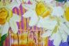 Flowers Aster Blooms 338