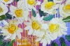 Flowers Aster Blooms 338