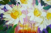 Flowers Aster Blooms 338
