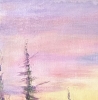 Kielder Forest Light