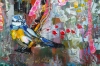 Garden Birds 378