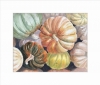 PUMPKINS GALORE