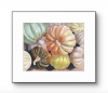 PUMPKINS GALORE