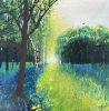 The Joy of First Bluebells