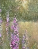 Where The Evening Breeze Wanders