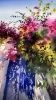 Where Bougainvillea Blooms