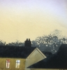 TIRED STARLINGS IN BLACK ROOF COUNTRY...2