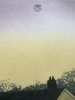 TIRED STARLINGS IN BLACK ROOF COUNTRY...2