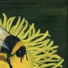 The Busy Bee