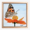 Nectar and Wings