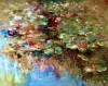 Water Lily Pond