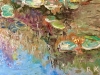 Water Lily Pond