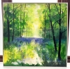 Misty Spring Woodland with Bluebells