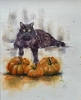 Autumn Halloween chill
