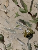 Olive Branches by the Blue Wall.