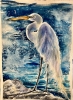 The Ghost of the Marsh
