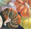 PUMPKINS GALORE