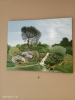 Rock garden