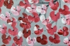 Large Pink Cherry Blossom Tree Painting – Dream of Spring