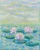 Morning Lily Pond