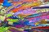 Colour Portrait 360