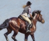 Over the Brow - Bay Horse 