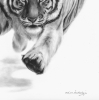 Silent Approach