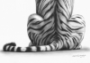 Quiet Majesty