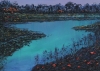 Swampy Rivulet