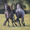 The Dance - Two Friesians