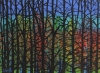 Through the Niked Trees