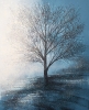 Winter Tree In Morning Mist