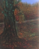 Tree's Autumn 