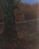 Tree's Autumn 