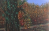 Tree's Autumn 