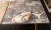 Unfinished Dreams