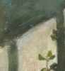 \"The Potted Vine\"