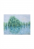Willow Tree River 