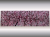 Large Pink Cherry Blossom Tree Painting – Forever Spring