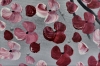 Large Pink Cherry Blossom Tree Painting – Forever Spring