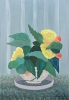 Yellow Begonia in Flower Pot