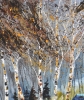 Windy autumn 
