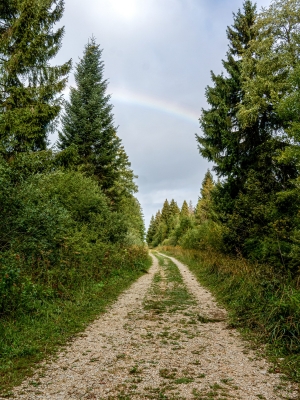 Landscape of Frasne — 30 × 40 cm