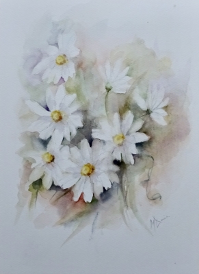 A Daisy is never alone