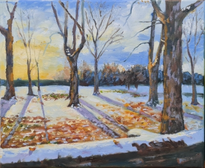 Low sun, long shadows