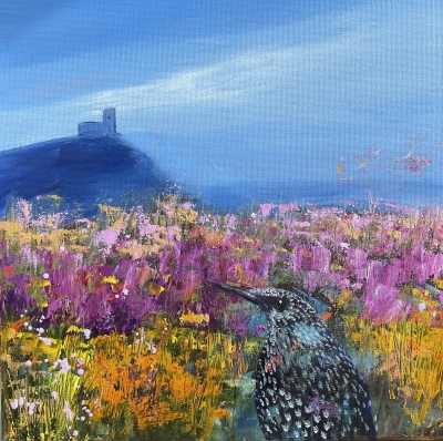 Starling on Dartmoor