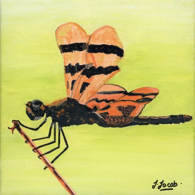 Prismatic Flight 